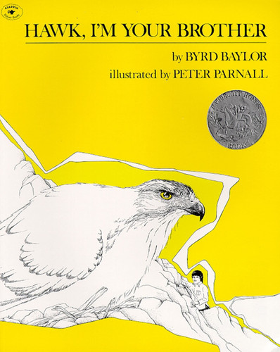 Hawk, I'm Your Brother book cover by Byrd Baylor