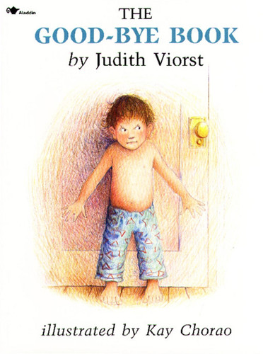 The Good-bye Book book cover by Judith Viorst