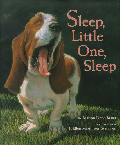 Sleep, Little One, Sleep book cover by Marion  Dane Bauer