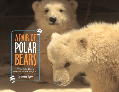 A Pair of Polar Bears: Twin Cubs Find a Home at the San Diego Zoo book cover by Joanne Ryder