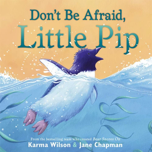 Don't Be Afraid, Little Pip book cover by Karma Wilson