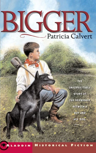 Bigger book cover by Patricia Calvert