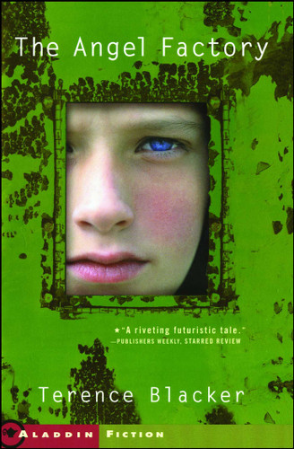 The Angel Factory book cover by Terence Blacker