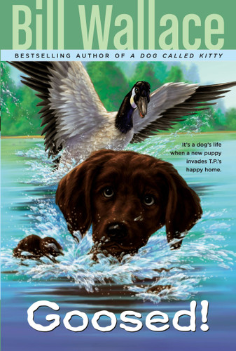 Goosed! book cover by Bill Wallace