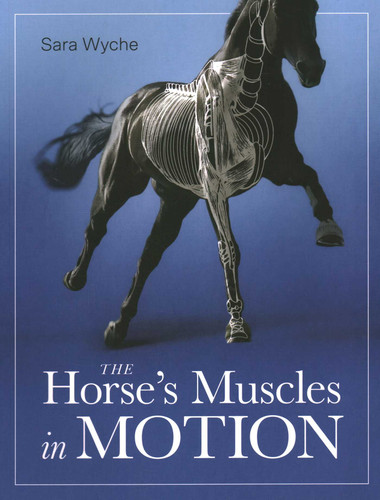 Horse's Muscles in Motion book cover by Sara Wyche