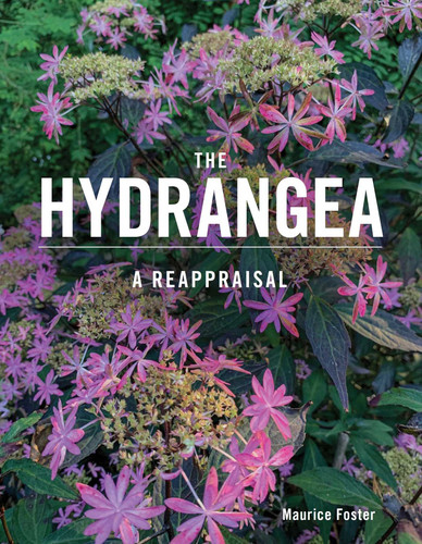 The Hydrangea: A Reappraisal book cover by Maurice Foster