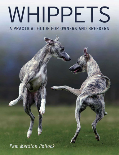 Whippets: A Practical Guide for Owners and Breeders book cover by Pam Marston-Pollock