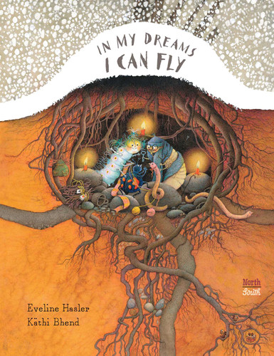 In My Dreams I Can Fly book cover by Eveline Hasler
