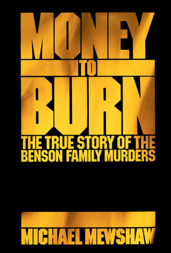 Money to Burn book cover by Michael Mewshaw