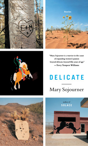 Delicate: Stories book cover by Mary Sojourner