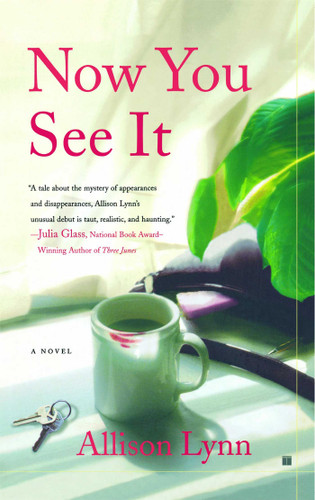 Now You See It: A Novel book cover by Allison Lynn