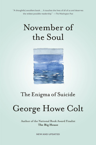 November of the Soul: The Enigma of Suicide book cover by George Howe Colt