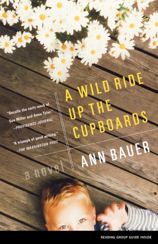 A Wild Ride Up the Cupboards: A Novel book cover by Ann Bauer