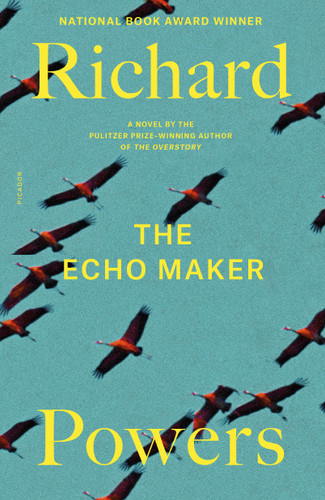 The Echo Maker: A Novel book cover by Richard Powers