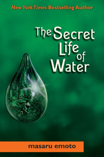 Secret Life of Water (Masaru Emoto Legacy Library) book cover by Masaru Emoto