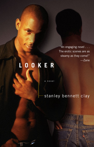 Looker: A Novel book cover by Stanley Bennett Clay