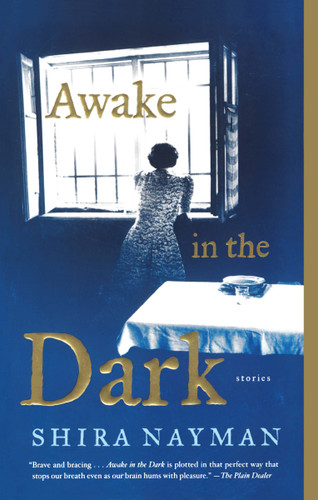 Awake in the Dark: Stories book cover by Shira Nayman