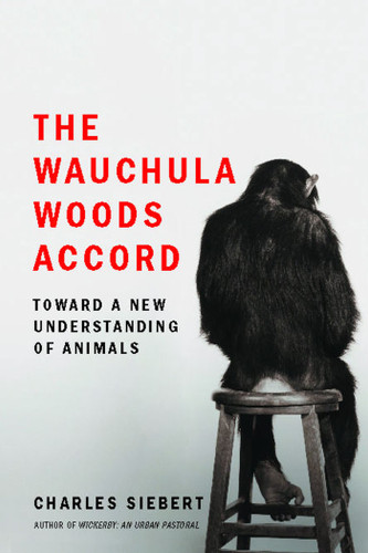 The Wauchula Woods Accord: Toward a New Understanding of Animals book cover by Charles Siebert