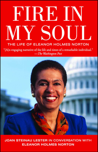Fire in My Soul book cover by Joan Steinau Lester