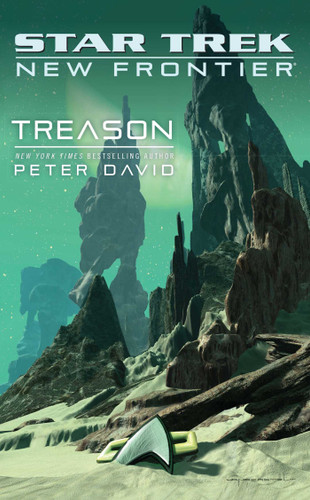 Star Trek: New Frontier: Treason (Star Trek: The Next Generation) book cover by Peter David