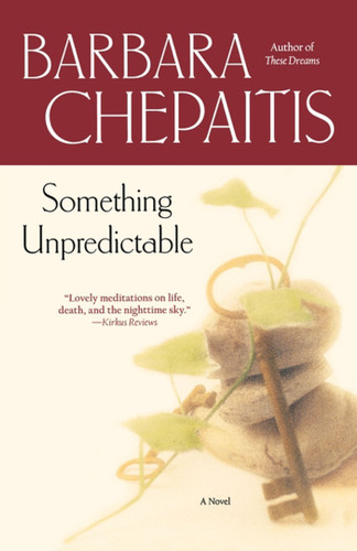 Something Unpredictable: A Novel book cover by Barbara Chepaitis