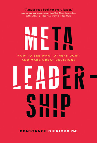 Meta-Leadership: How to See What Others Don’t and Make Great Decisions book cover by Constance Dierickx