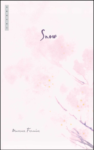 Snow: A Novel book cover by Maxence Fermine