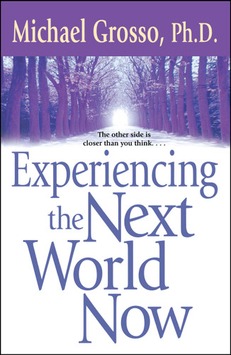 Experiencing the Next World Now book cover by Michael Grosso