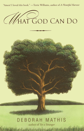 What God Can Do: How Faith Changes Lives for the Better book cover by Deborah Mathis