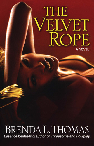 The Velvet Rope book cover by Brenda L. Thomas