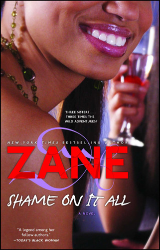 Shame on It All: A Novel book cover by Zane