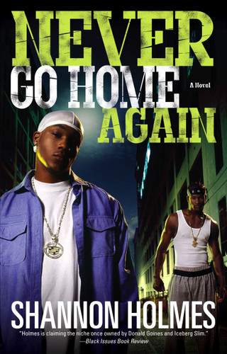 Never Go Home Again: A Novel book cover by Shannon Holmes