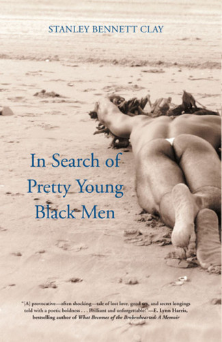 In Search of Pretty Young Black Men: A Novel book cover by Stanley Bennett Clay