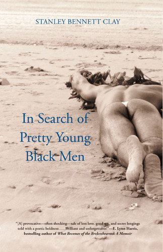 In Search of Pretty Young Black Men: A Novel book cover by Stanley Bennett Clay
