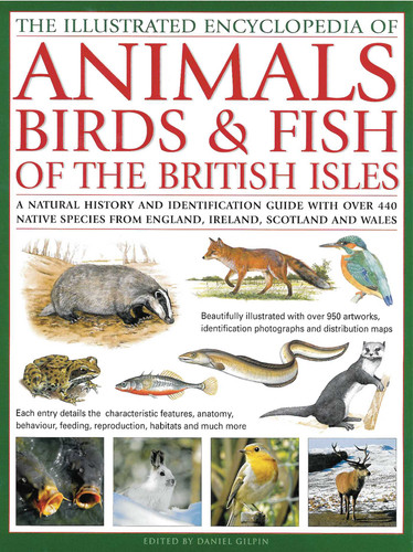 Illustrated Encyclopedia of Animals, Birds & Fish of British Isles: A natural history and identification guide with over 440 native species from England, Ireland, Scotland and Wales book cover by Tom Jackson