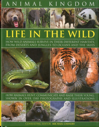 Animal Kingdom: Life in the Wild book cover by Michael Chinery