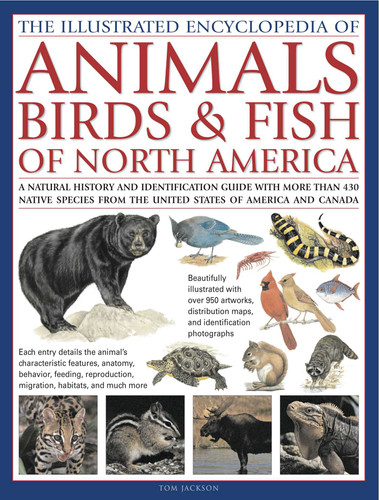 Animals, Birds & Fish of North America, the Illustrated Encyclopedia of: A Natural History and Identification Guide to the Captivating Indigenous Wildlife of the United States of America and Canada book cover by Tom Jackson