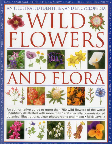 Illustrated Identifier and Encyclopedia of Wild Flowers and Flora: An authoritative guide to more than 750 wild flowers of the world book cover by Mick Lavelle