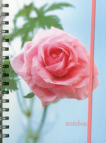 Notebook (Pink Rose) book cover by Peony Press