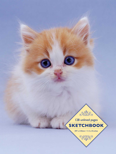 Sketchbook: Kitten: 128 Unlined Pages book cover by Peony Press