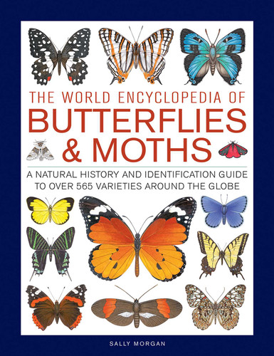 The World Encyclopedia of Butterflies & Moths: A Natural History And Identification Guide To Over 565 Varieties Around The Globe book cover by Sally Morgan