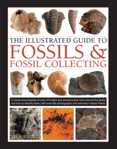 The Illustrated Guide to Fossils & Fossil Collecting: A Reference Guide to Over 375 Plant and Animal Fossils from Around the Globe and How to Identify Them, with Over 950 Photographs and Artworks book cover by Steve Parker