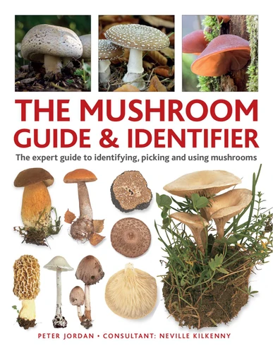 The Mushroom Guide & Identifer: An Expert Manual for Identifying, Picking and Using Edible Wild Mushrooms Found in Britain book cover by Peter Jordan, Neville Kilkenny