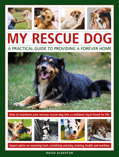 My Rescue Dog book cover by David Alderton