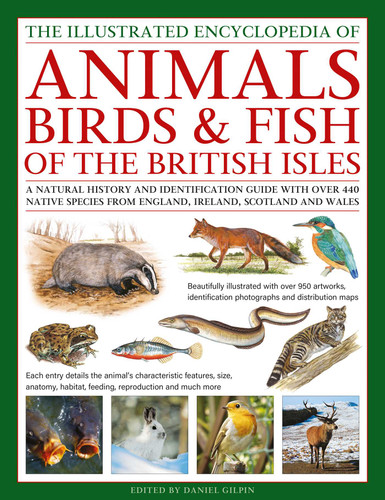 The Animals, Birds & Fish of the British Isles, Illustrated Encyclopedia of: A natural history and identification guide with over 440 native species from England, Ireland, Scotland and Wales book cover by 