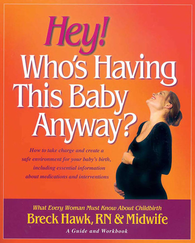 Hey! Who's Having This Baby Anyway? book cover by Breck Hawk