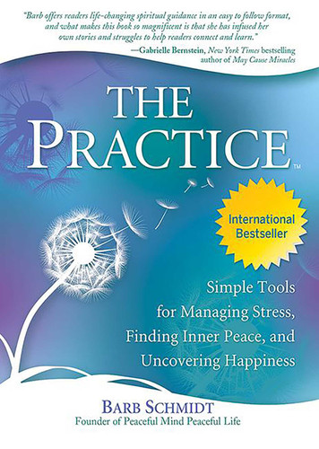 The Practice: Simple Tools for Managing Stress, Finding Inner Peace, and Uncovering Happiness book cover by Barb Schmidt