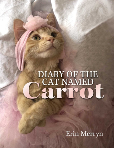 Diary of the Cat Named Carrot book cover by Erin Merryn