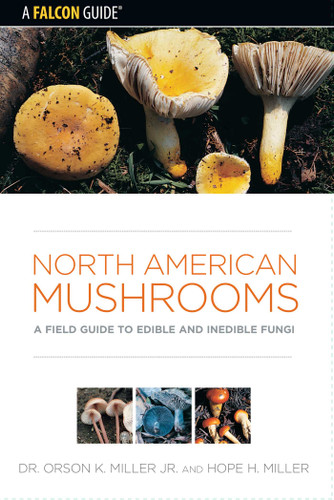 North American Mushrooms (Falcon Field Guide Series) book cover by Orson Miller, Hope Miller