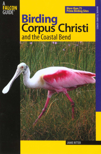 Birding Corpus Christi and the Coastal Bend (Birding Series) book cover by Jamie Ritter